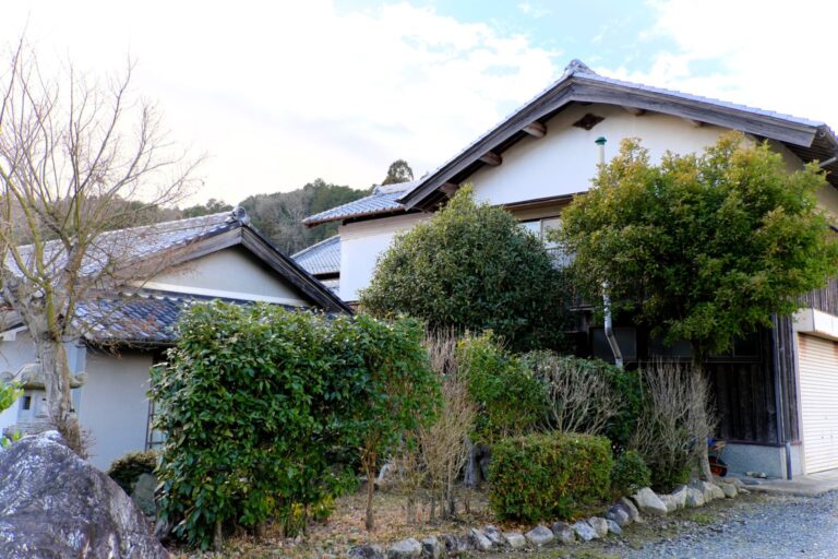 現地で拝見する手入れ前の前庭
