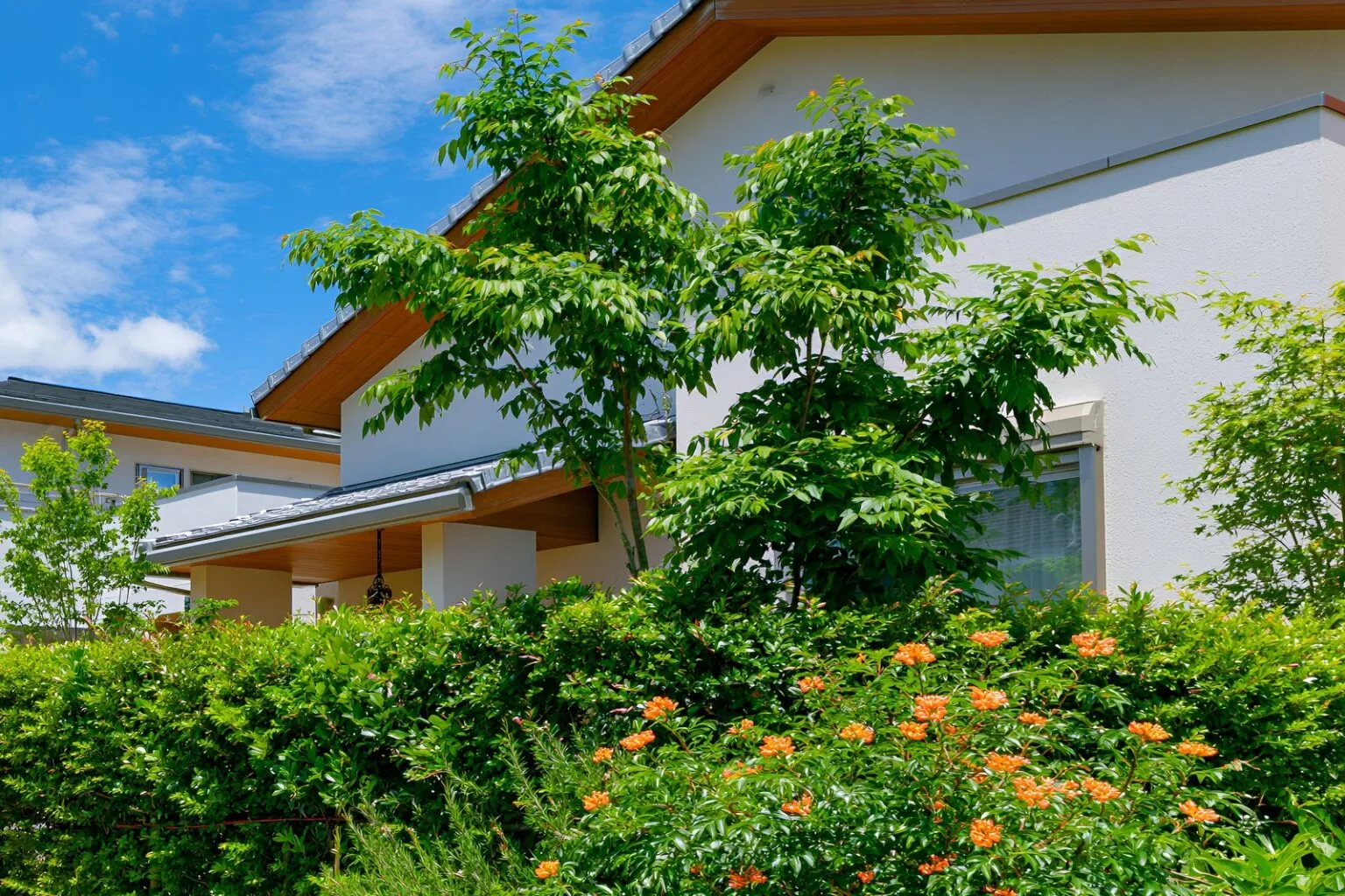住まいを彩る庭木と生垣の植栽